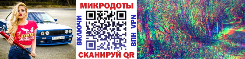 Галлюциногенные грибы Psilocybine cubensis  дарнет шоп  Ачинск 